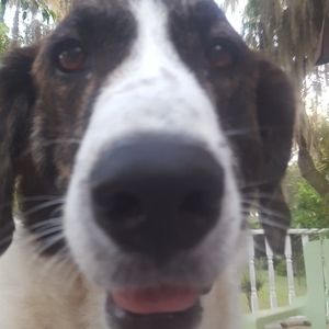 Meet your Posher, Barbara